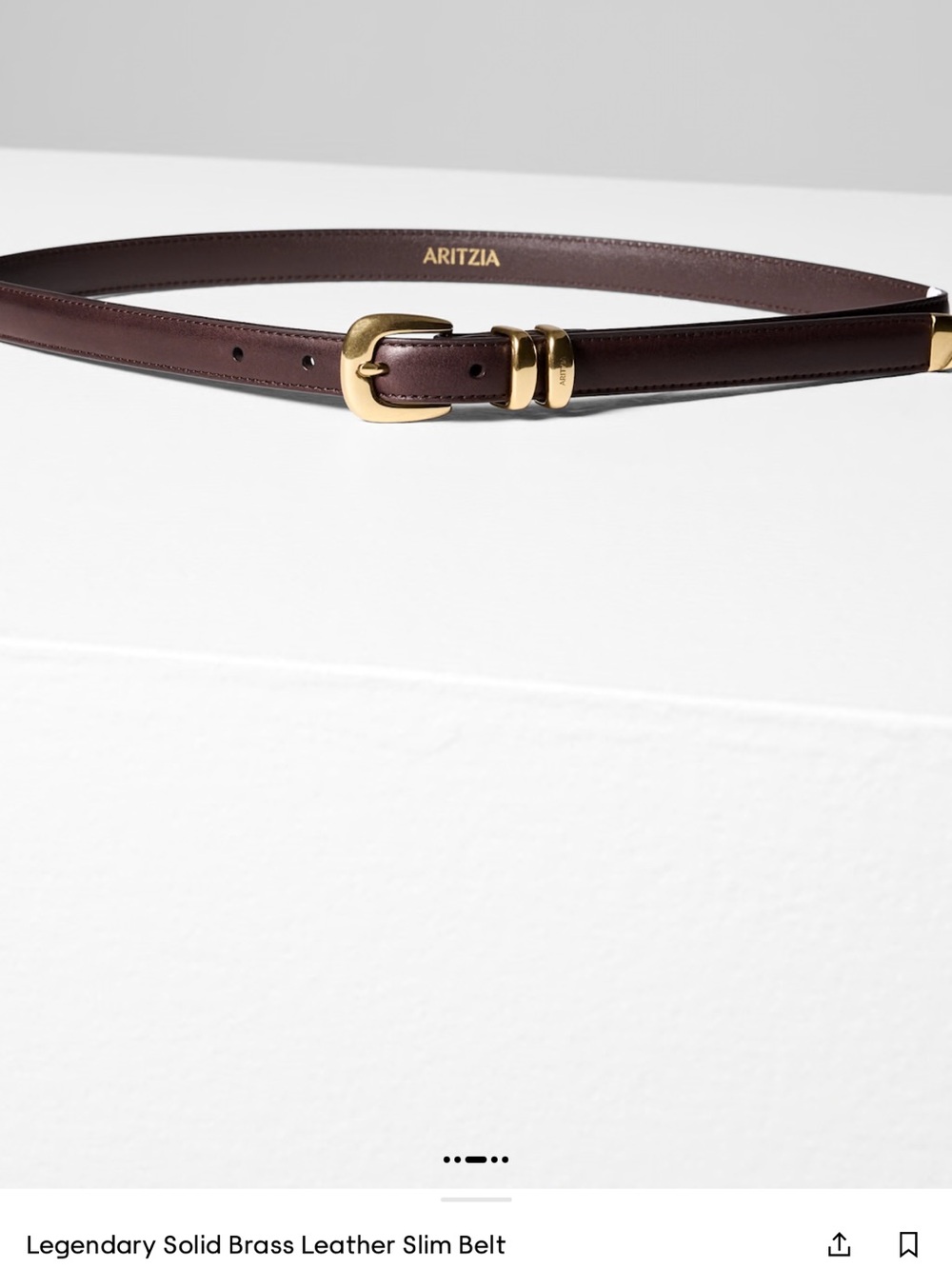 Aritzia Slim Leather Belt with Gold-Tone Buckle - Dark Brown